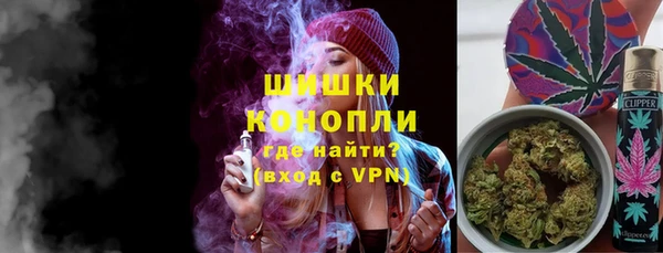 спиды Вяземский