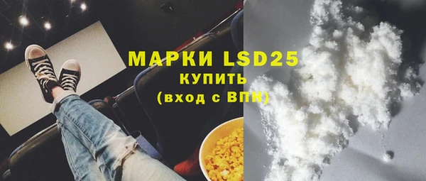 спиды Вяземский