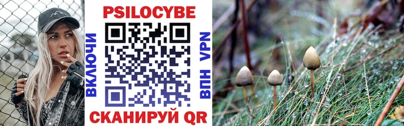 Галлюциногенные грибы GOLDEN TEACHER  хочу   Железноводск 